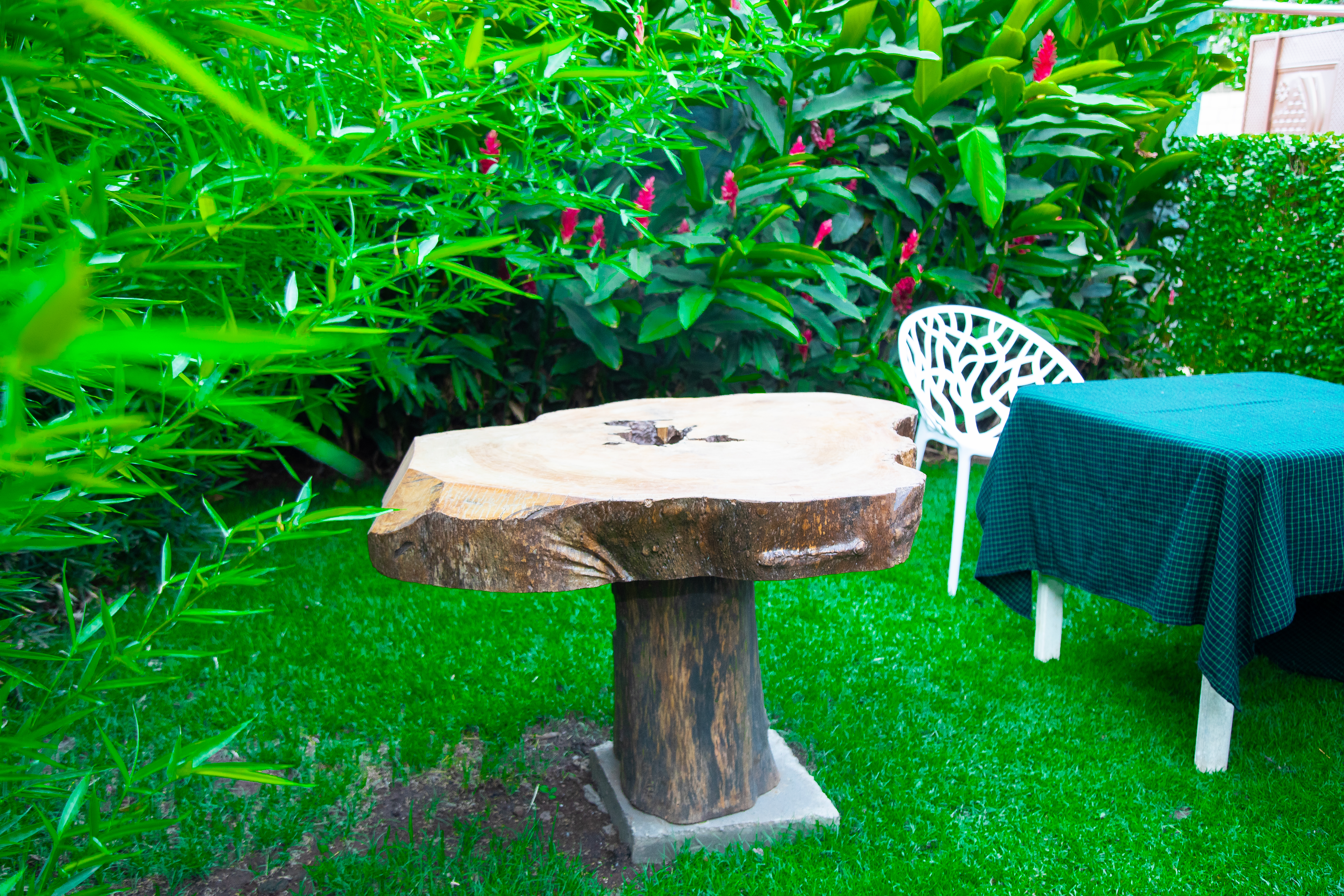 Campsite at Moshi Town