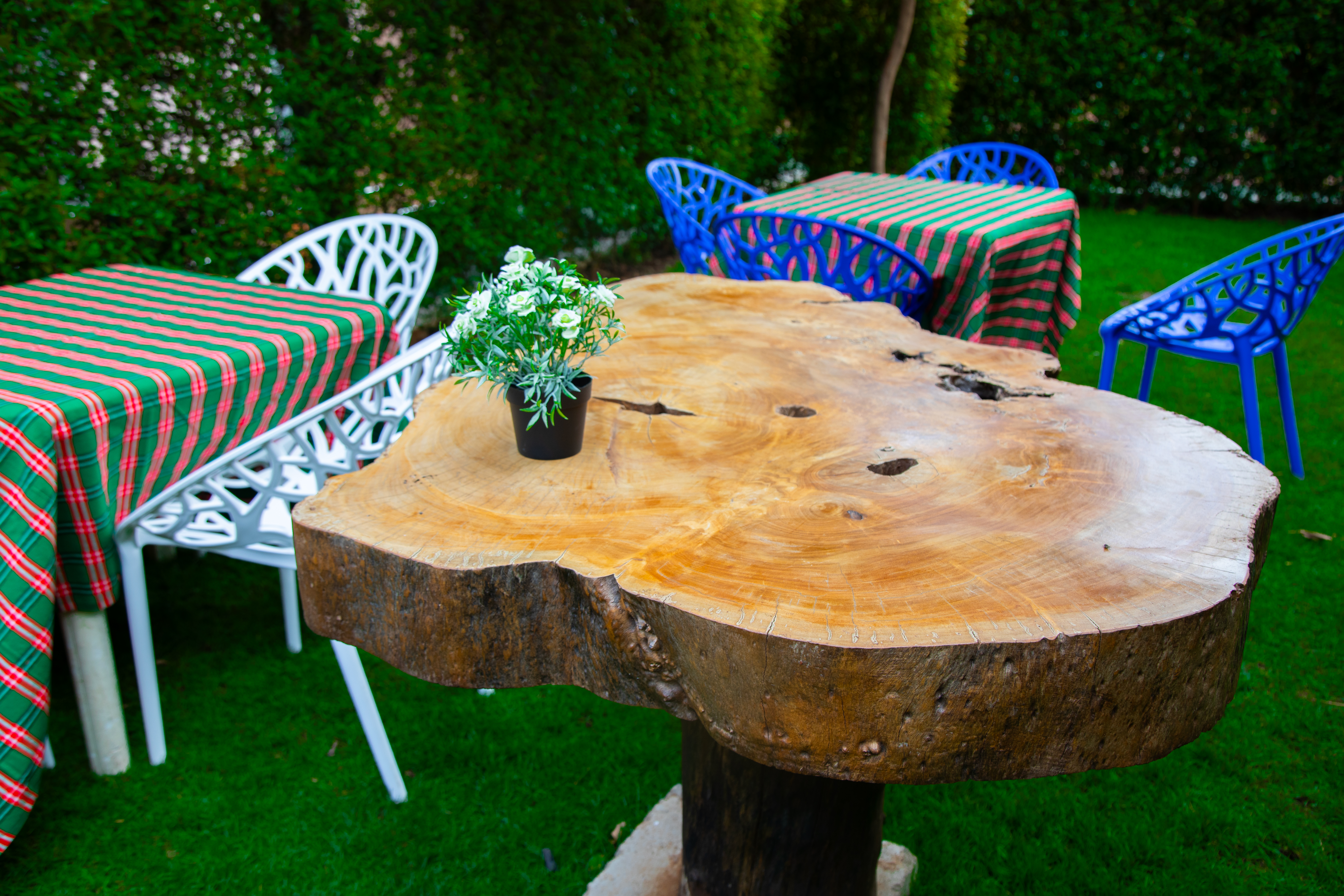 Front view of the villa