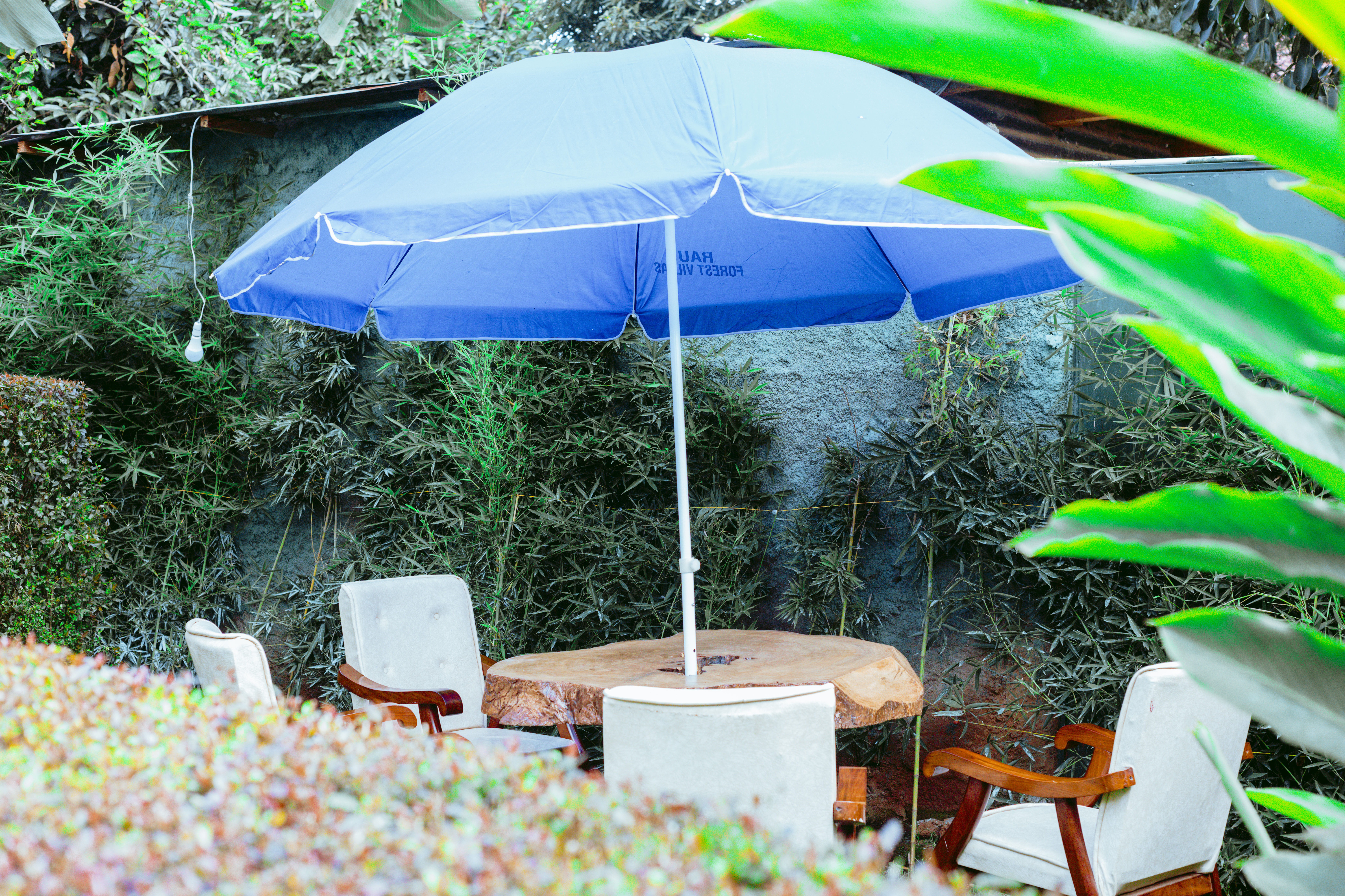 Cozy B&B Kilimanjaro